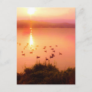 Carte Postale Coucher de soleil rose et de lac de pêche
