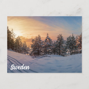 Carte Postale Coucher de soleil sur la forêt gelée de neige près