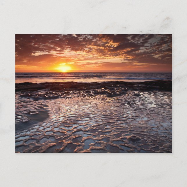 Carte Postale Coucher de soleil sur la plage, Californie (Devant)