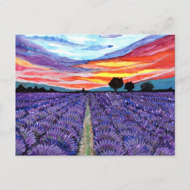 Carte Postale Coucher de soleil sur le champ Lavender (Devant)