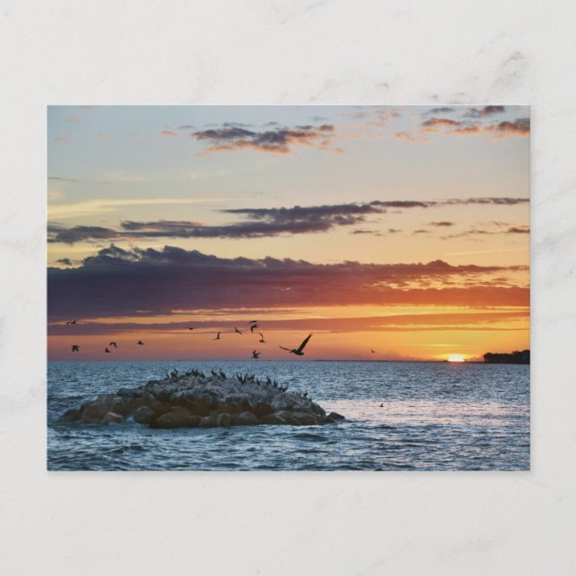 Carte Postale Coucher de soleil sur le rocher pélican, île Dauph (Devant)