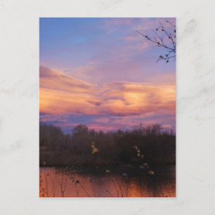 Carte Postale Coucher de soleil sur Pond
