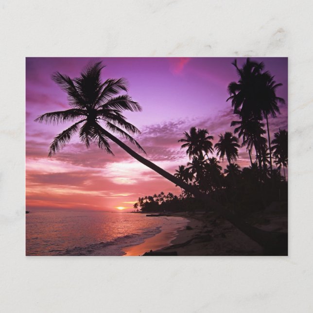 Carte Postale Coucher de soleil tropical (Devant)