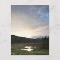 Coucher du soleil au-dessus d'un étang brumeux