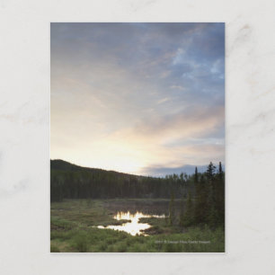 Carte Postale Coucher du soleil au-dessus d'un étang brumeux