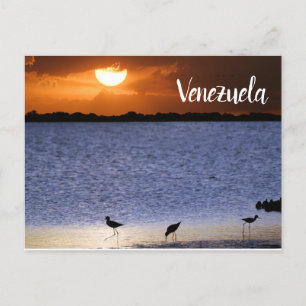 Carte Postale Coucher du soleil au Venezuela