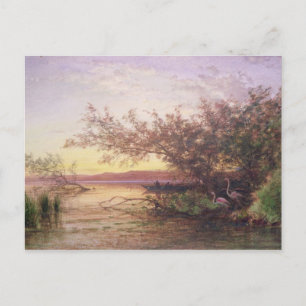 Carte Postale coucher du soleil, Camargue