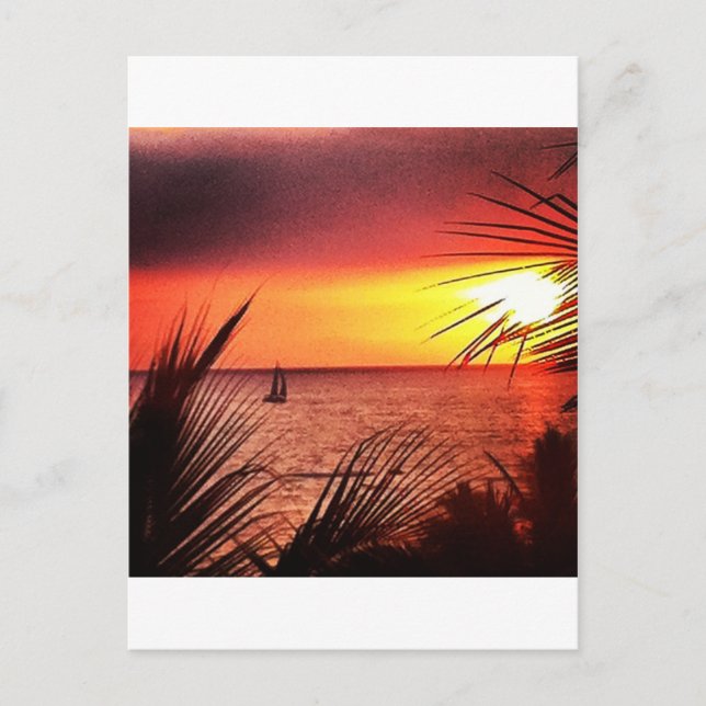 Carte Postale Coucher du soleil de Puerto Vallarta (Devant)