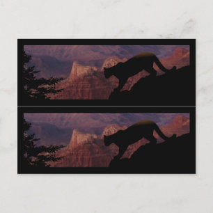 Carte Postale Cougar et le Grand Canyon