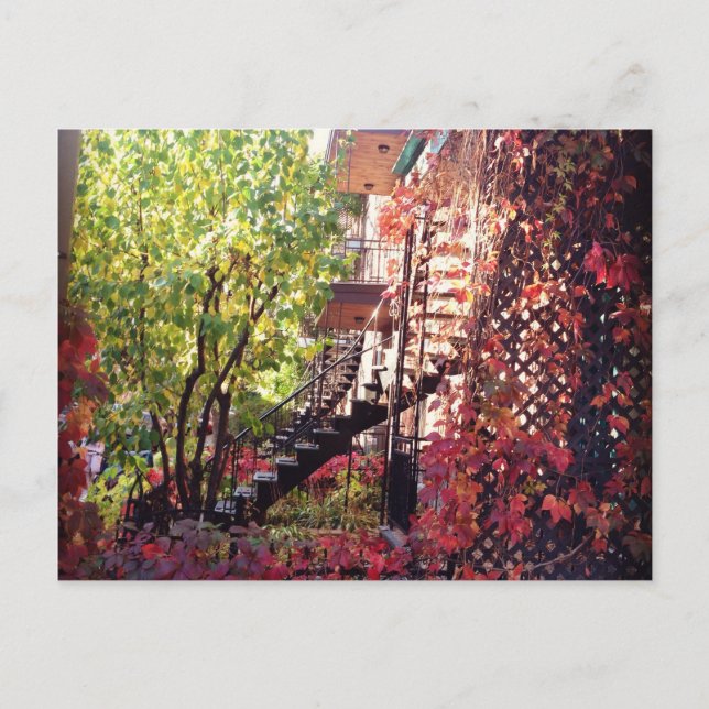 Carte Postale couleur (Devant)