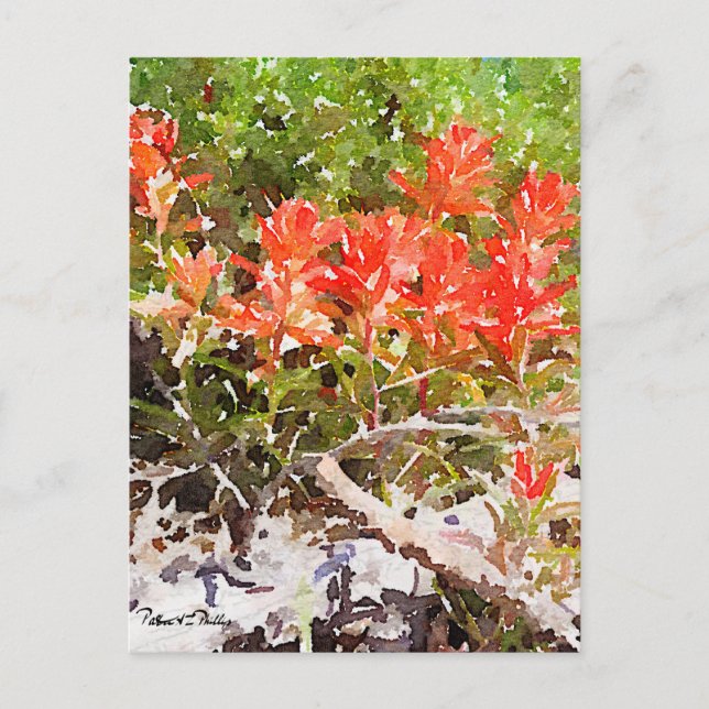 Carte Postale Couleur d'aquarelle Fleur sauvage de peinture indi (Devant)