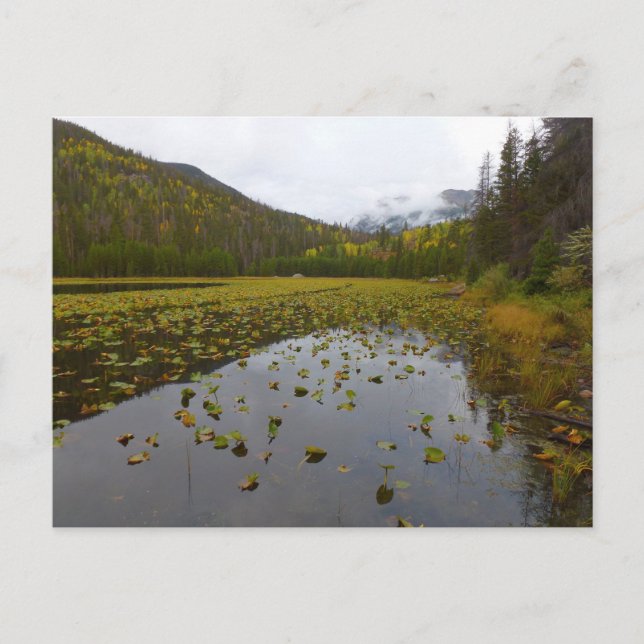 Carte Postale Couleur d'automne à Cub Lake (Devant)