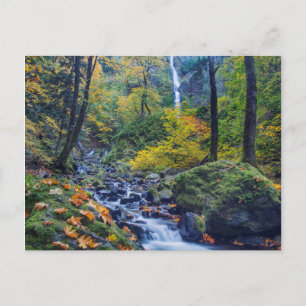 Carte Postale Couleur d'automne le long de Starvation Creek Fall