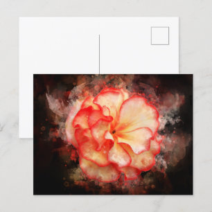 Carte Postale Couleur de fleur de Begonia - bb3