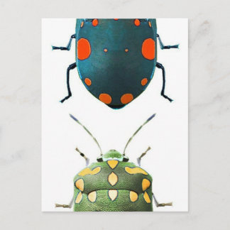 Carte Postale Couleur d'insectes