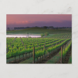 Carte Postale Couleur du soleil dans le brouillard lointain derr