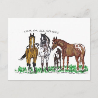 Carte Postale Couleur pour toutes les saisons