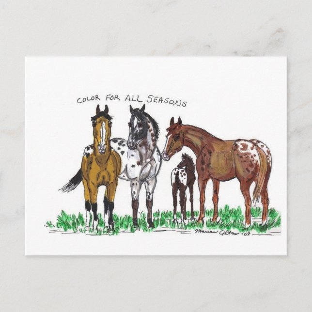 Carte Postale Couleur pour toutes les saisons (Devant)