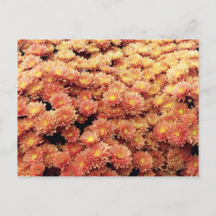 Carte Postale Couleur rouille