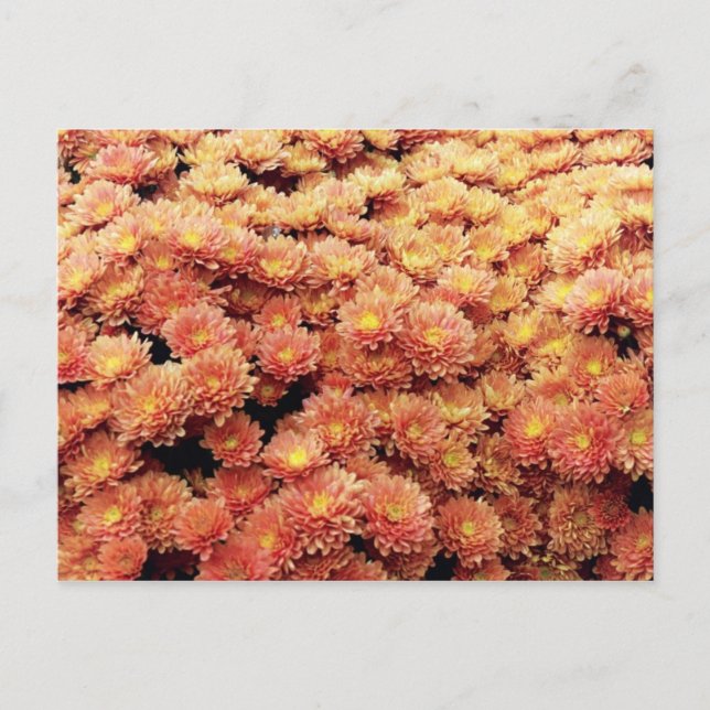 Carte Postale Couleur rouille (Devant)