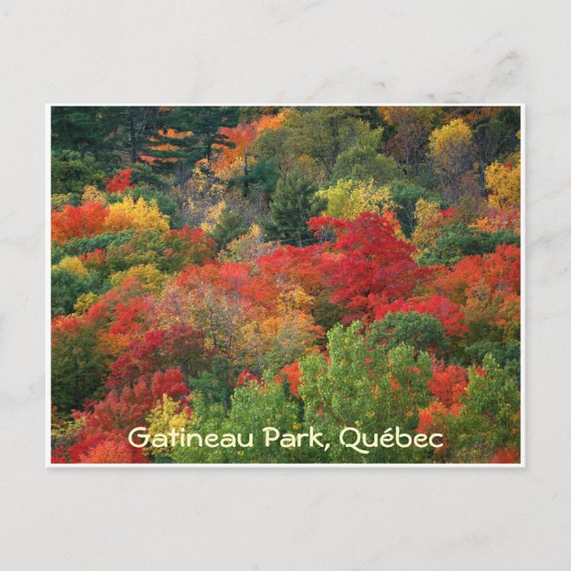 Carte Postale Couleurs d'automne (Devant)