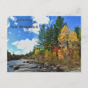 Carte Postale Couleurs d'automne au Nouveau-Brunswick Canada