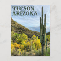 Couleurs d'automne Canyon Saguaro Sabino