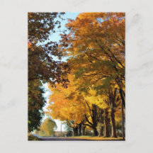 Couleurs d'automne sur route de campagne