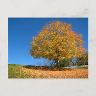 Carte Postale Couleurs d'automne, Virginie-Occidentale