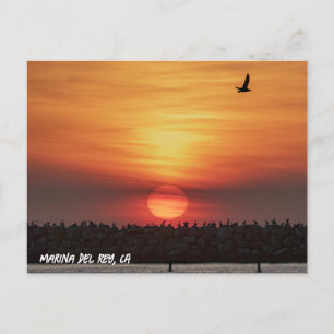 Carte Postale Couleurs de coucher de soleil magnifiques - Marina