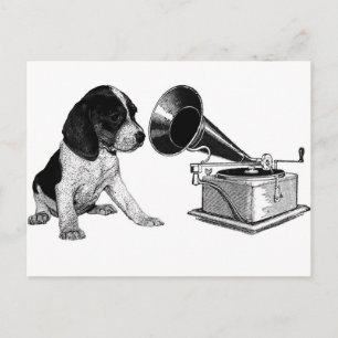 Carte Postale Coupe beagle avec Gramophone