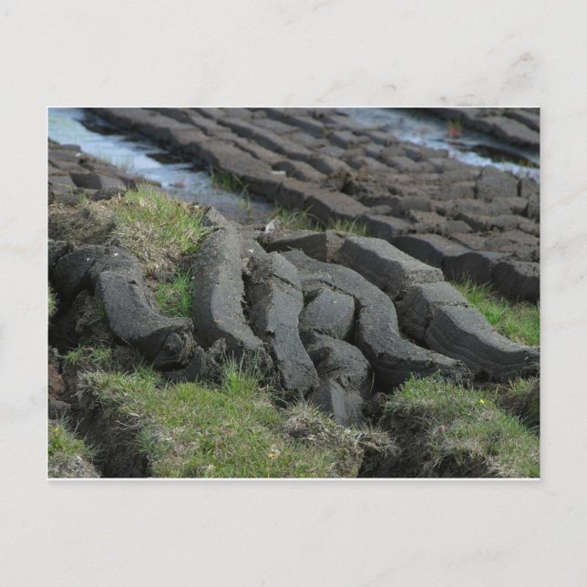 Carte Postale Coupe de tourbe (Devant)