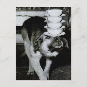 Carte Postale Coupes et soucoupes vintages pour chien sur le nez