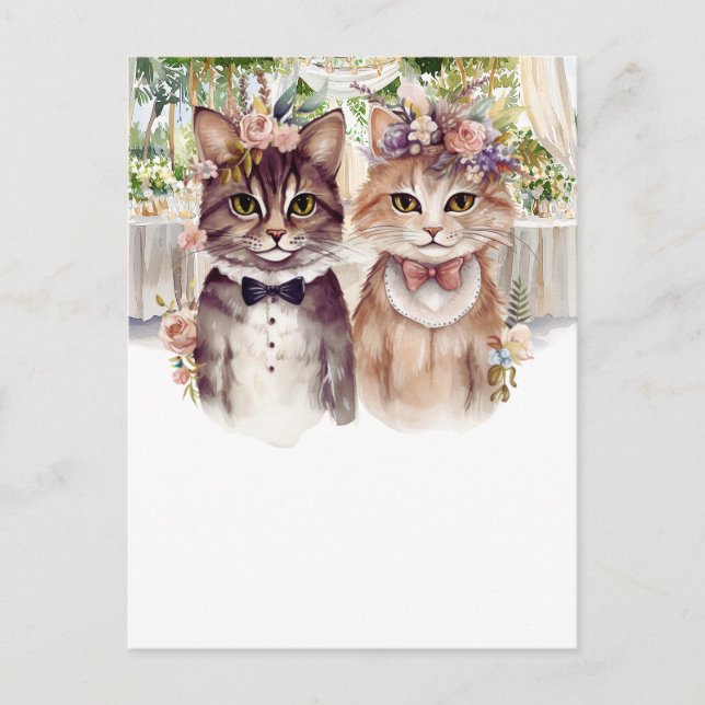 Carte Postale Couple de chat aquarelle (Devant)