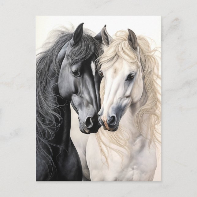 Carte Postale Couple de chevaux Cheval noir et blanc Postcrossin (Devant)