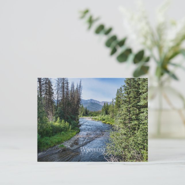 Carte Postale Courant de Wyoming Winding (étiqueté) (Debout devant)