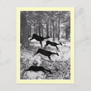 Carte Postale Courant Deer