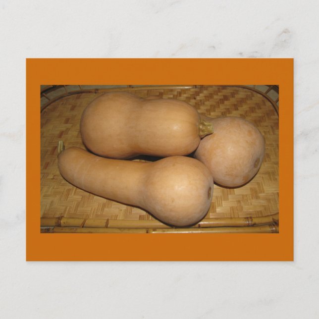 Carte Postale Courge de Butternut (Devant)