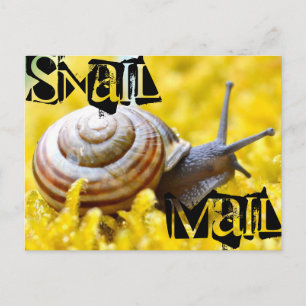 Carte Postale Courrier d'escompte