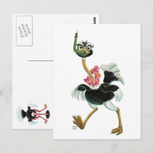 Carte Postale Course d'autruches dans le marais