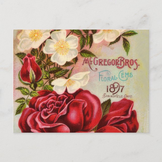 Carte Postale Couverture du catalogue de fleurs Vintages Roses F (Devant)