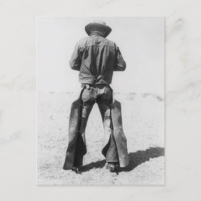Carte postale Cowboy (Devant)