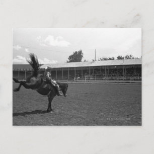 Carte Postale Cowboy équitation en rodéo, (B&W)