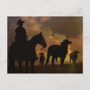 Carte Postale Cowboy et Steers Dusty Sunset Country Western