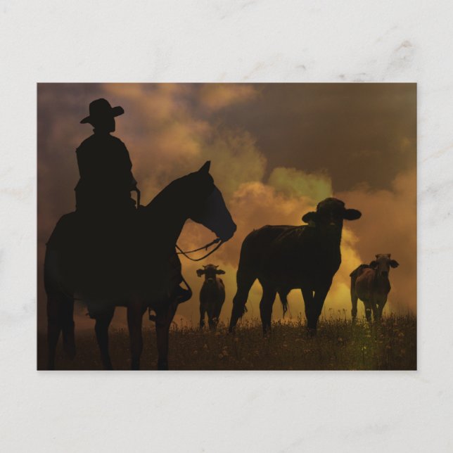 Carte Postale Cowboy et Steers Dusty Sunset Country Western (Devant)