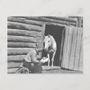 Carte Postale Cowboy lisant une lettre avec un cheval