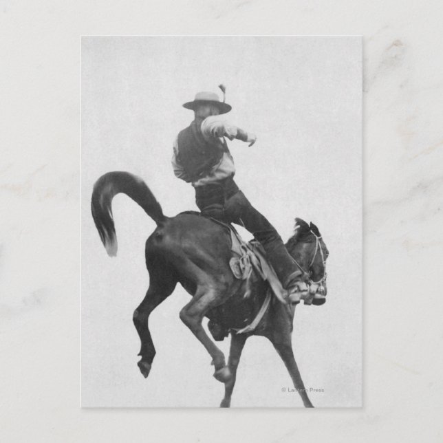 Carte Postale Cowboy Ned Coy Riding Bronco (Devant)