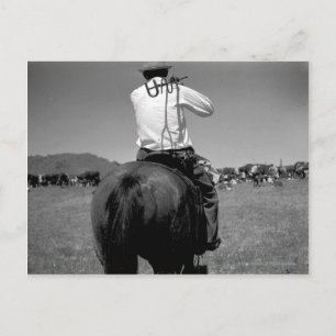Carte Postale Cowboy sur un cheval avec deux marques.
