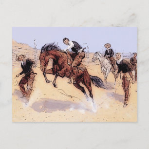 Carte Postale Cowboys - Cowboy Breaking Horse