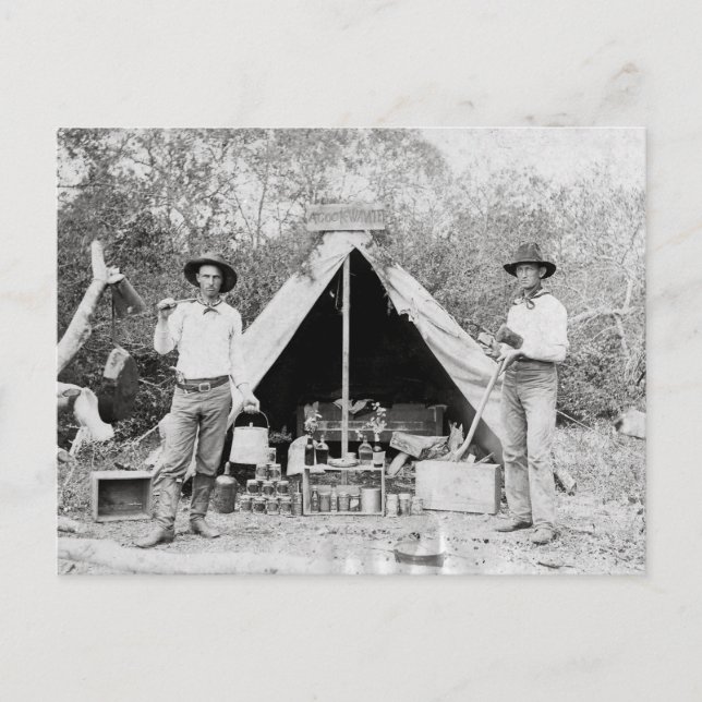 Carte Postale Cowboys in Camp, 1890 (Devant)